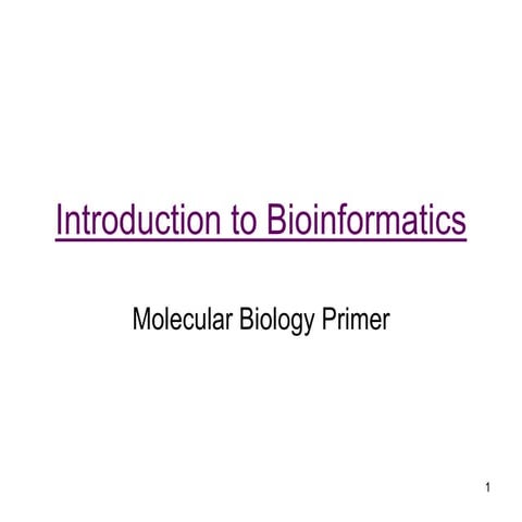 Introduction to Bioinformatics Molecular Biology Primer