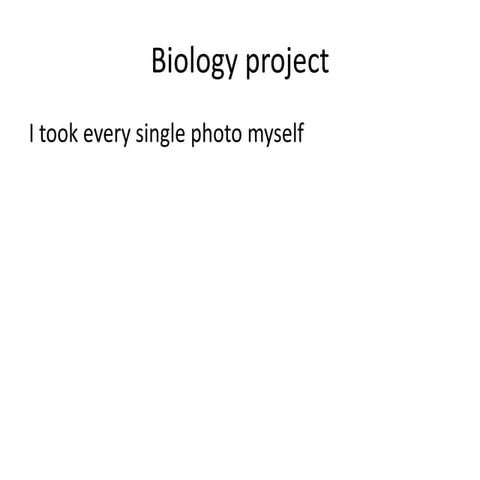 Biology project