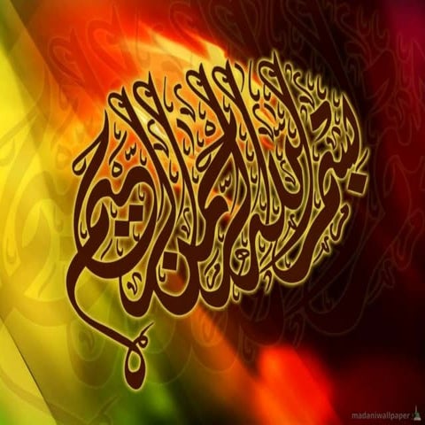 solving a biological problem