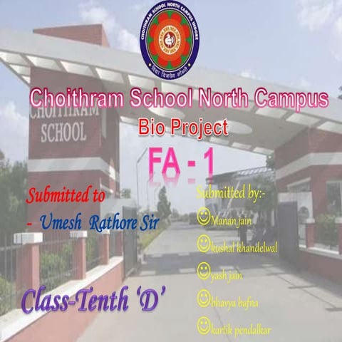 Biology Repsiration tenth class ppt