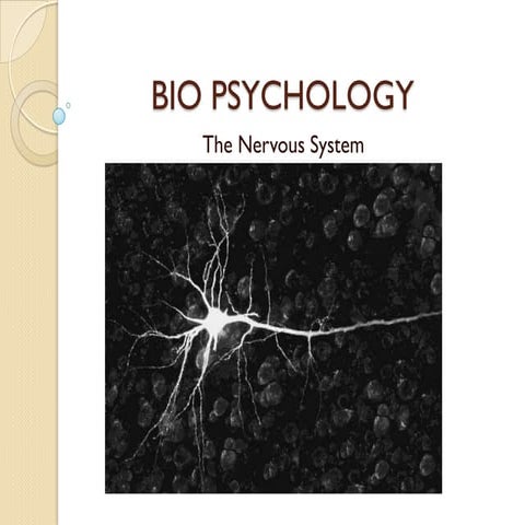 Bio psychology