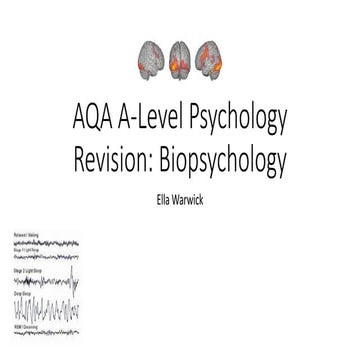 Biopsychology revision - AQA A Level Psychology