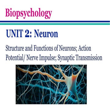 Comprehensive Overview of Neuron Structure, Function, and Communication ...