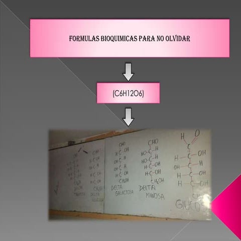 BIOQUÍMICA Y SU RELACIÓN CON OTRAS CIENCIAS | PPTX