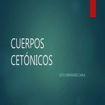 CUERPOS CETÓNICOS PPT