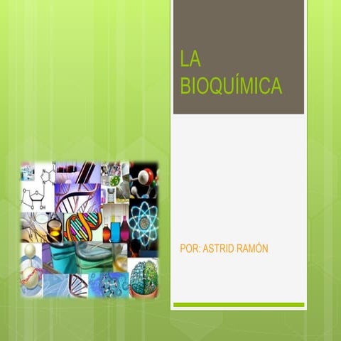 Bioquímica