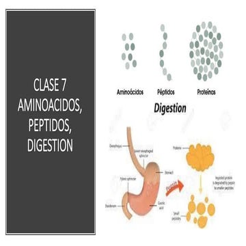 BIOQUIMICA MATERIA DIAPOSITIVA CLASE.pdf