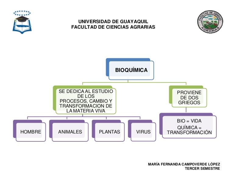 Las Bases Conceptuales De La Bioquímica Se Encuentran En