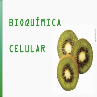 Bioquimica celular 1º6