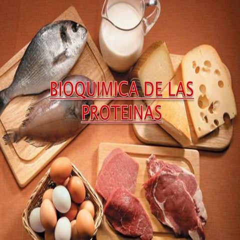 Bioquimica de las proteinas y aminoacido (bioq. i)
