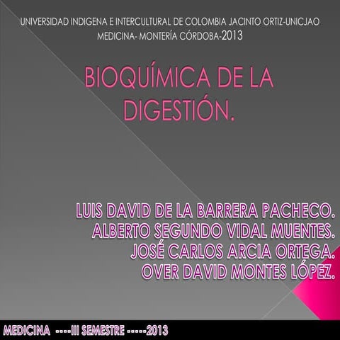 Bioquímica de la digestión, PROCESO DE LA DIGESTION DR. DE LA BARRERA LUIS