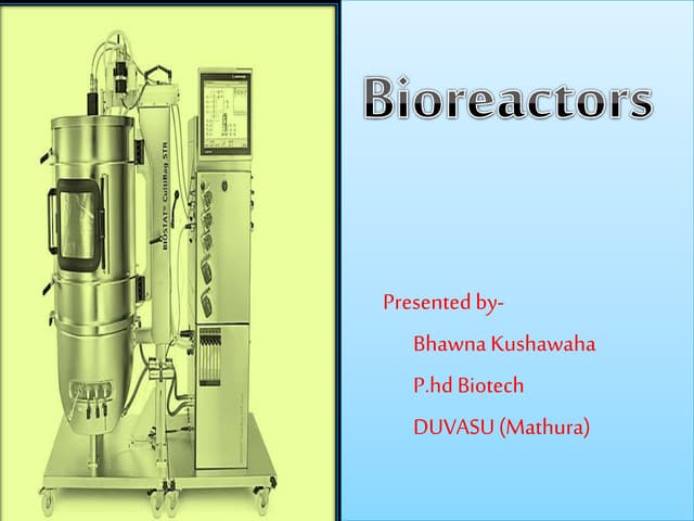 Bioreactor