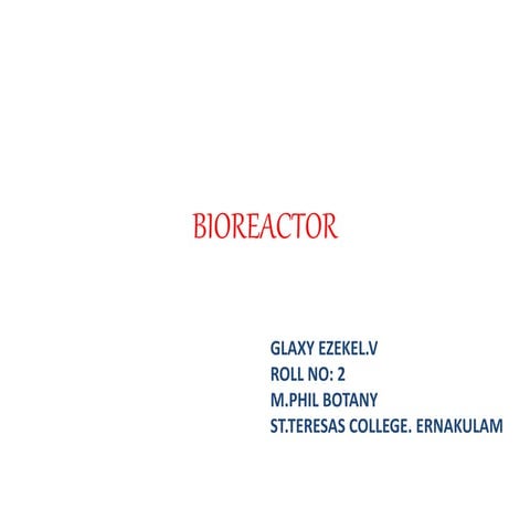 Bioreactor   copy