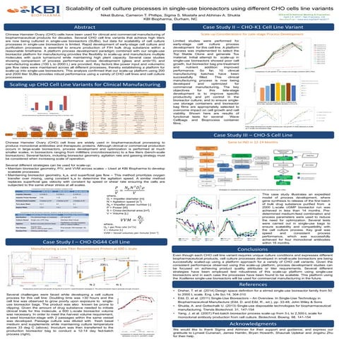 Scalability of Cell Culture Processes in Single-use Bioreactors using Differe...