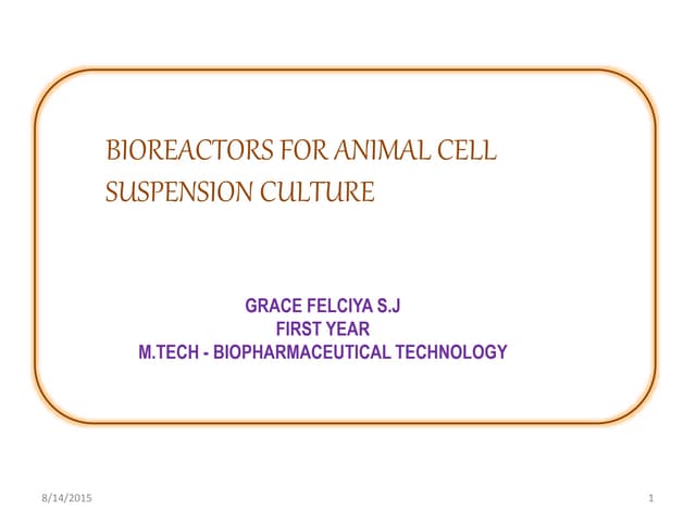Bioreactors for animal cell suspension culture