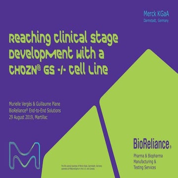 Straight to the Point: Reaching Clinical Stage Development with a CHOZN® Cell...