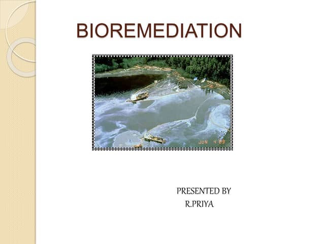 Bioremediation