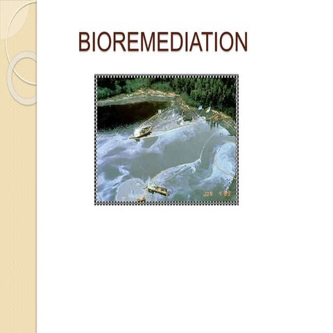 Bioremediation