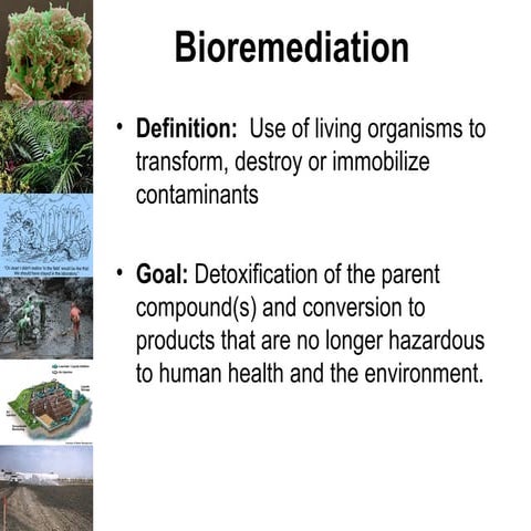 Bioremediation2
