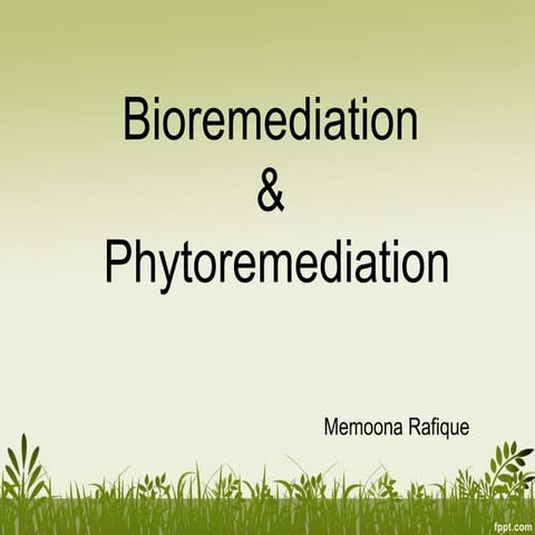Bioremediation 