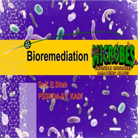 Bioremediation krs 