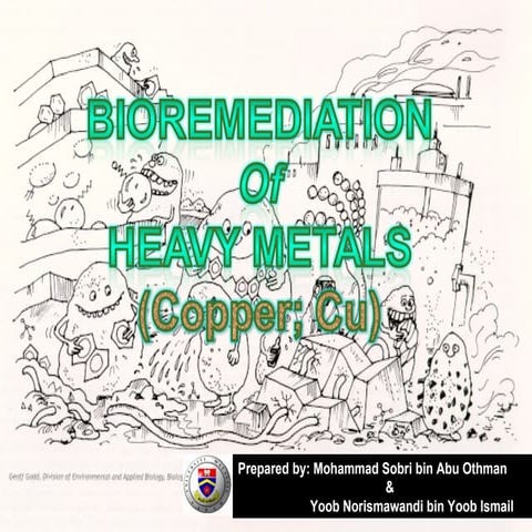 Bioremediation Of Heavy Metals (Copper)