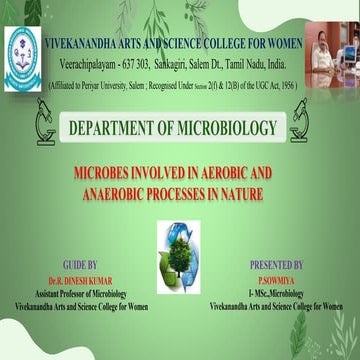 Microbes involved in aerobic and anaerobic process in nature