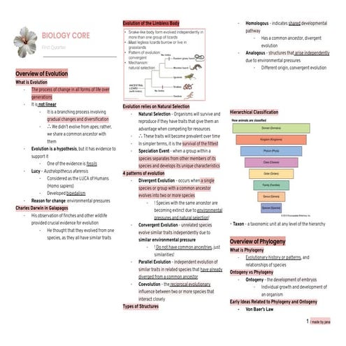 BIOLOGY 1 REVIEWER - EVOLUTION TO GENETIC INFORMATION.pdf