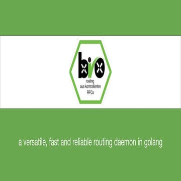 BIO routing - a versatile, fast and reliable routing daemon in golang