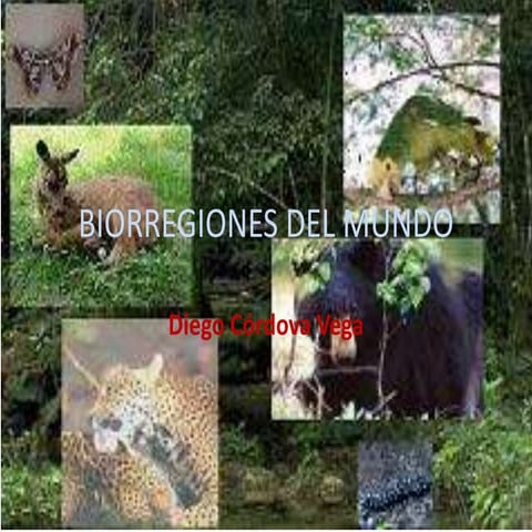 Biorregiones del mundo | PPTX