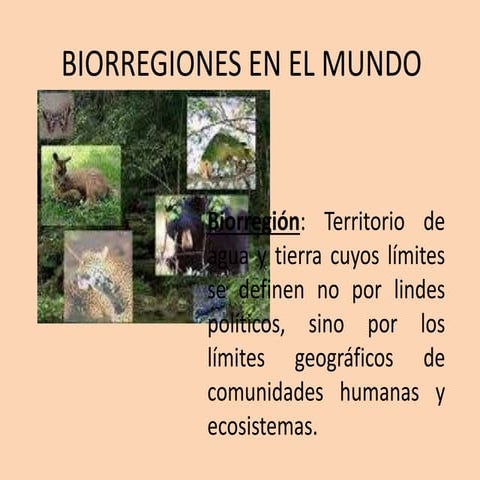 Biorregiones en el mundo | PPTX
