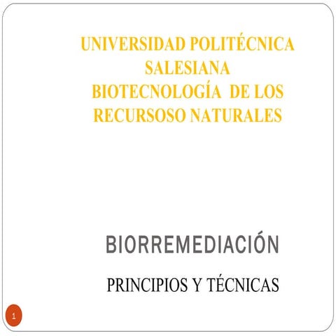 Biorremediación
