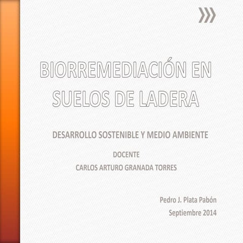 Biorremediación en suelos de ladera