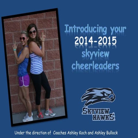 Skyview Cheer 2014-2015