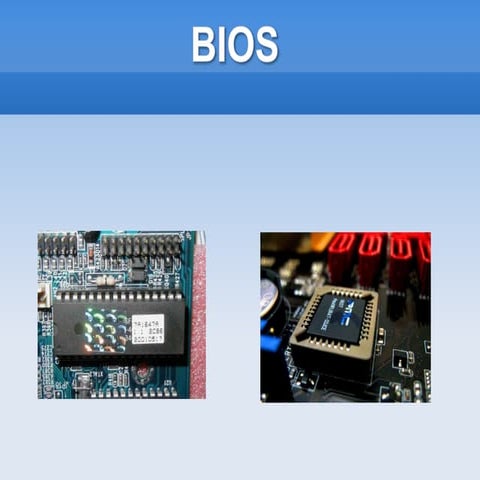 La bios y sus componentes maximos | PPSX