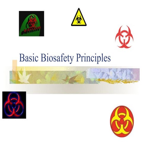 Basic Principles of Biosafety | PPT