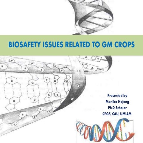 Biosafety issues related to GM crops
