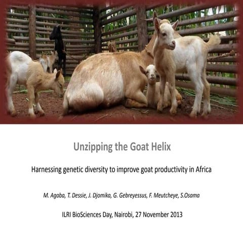 Unzipping the Goat Helix: Harnessing genetic diversity to improve goat produc...