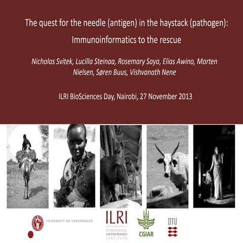 The quest for the needle (antigen) in the haystack (pathogen): Immunoinformat...