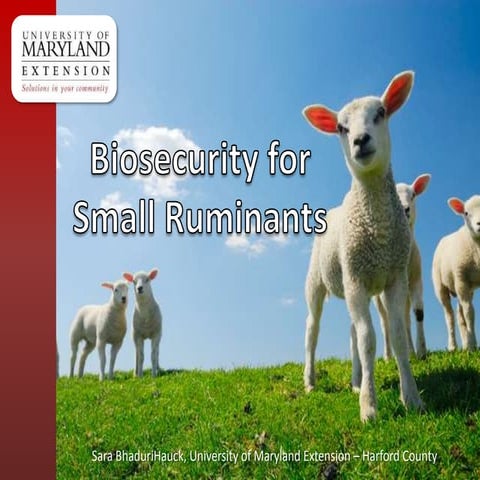 Bioscurity for Small Ruminants | PPTX