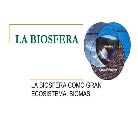 2.1 Ecosistemas _ 2.2 Flujo de Energia y 2.3 Biósfera.pptx