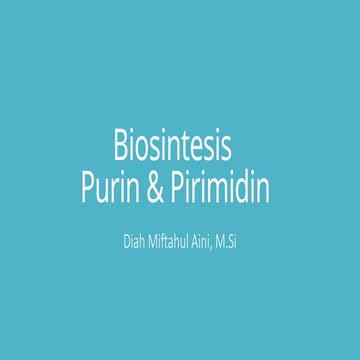 Biosintesis Purin Pirimidin materi biokimia.pptx