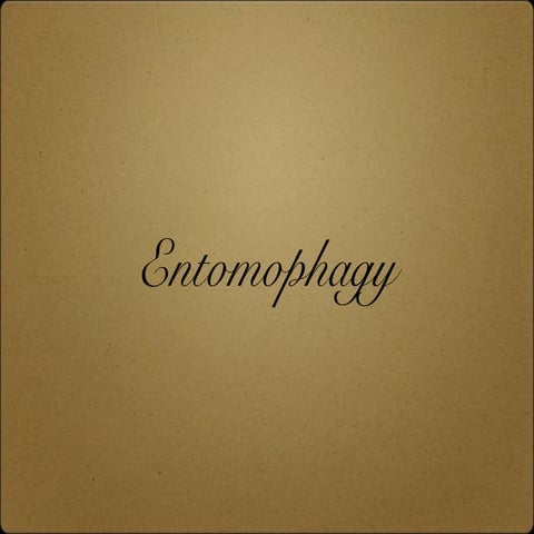 Entomophagy