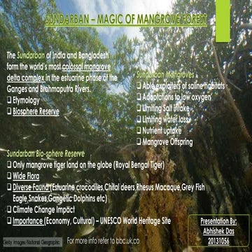 Sundarbans Snapshot Presentation