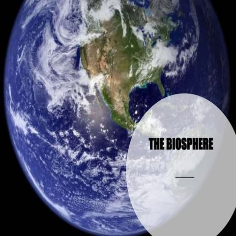 IGCSE Environment Management Biosphere