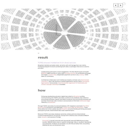 Biosphere Flow - Global Direct Collaboration Utility