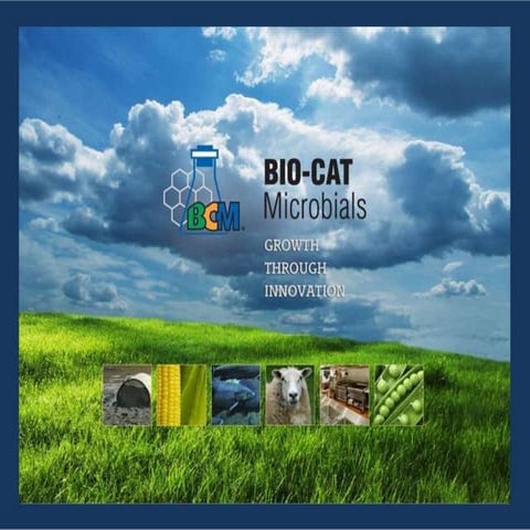 BioStart RhizoBoost Presentation | PPTX