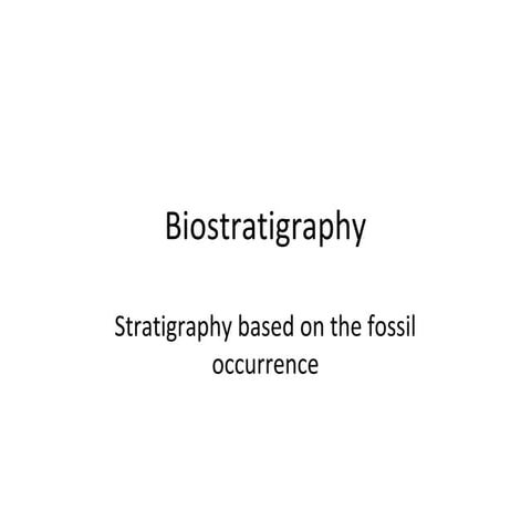 Biostratigraphy - Geologist