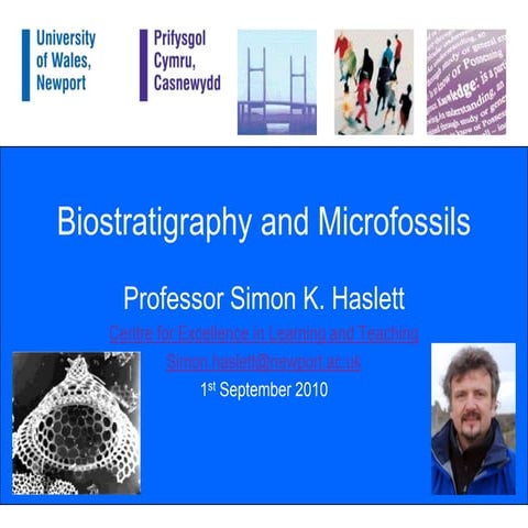 Biostratigraphy and microfossils