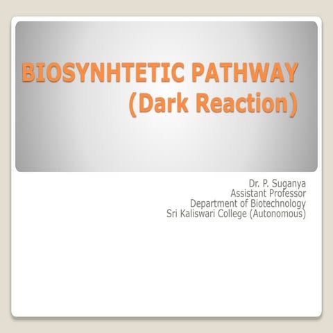 Biosynhtetic pathway (dark reaction)